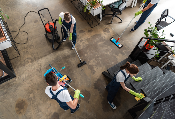 Painting and renovation services